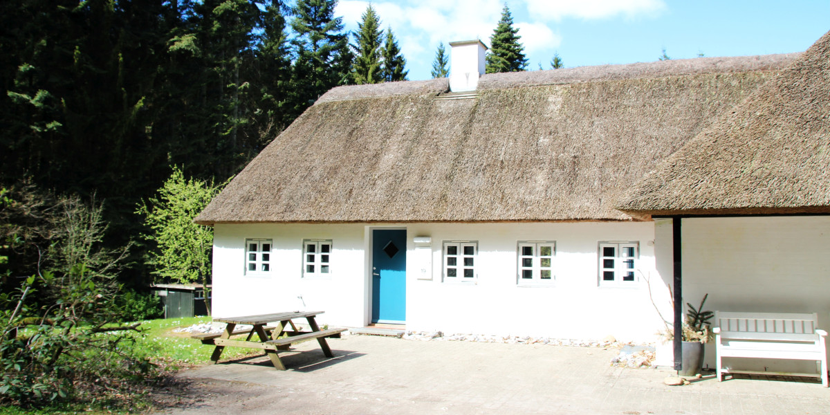 Billede fra Skovhuset